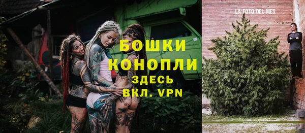 мяу мяу кристалл Няндома