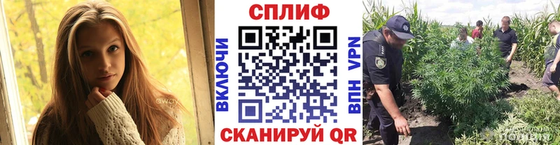 купить наркотики цена  Балей  МАРИХУАНА Ganja 